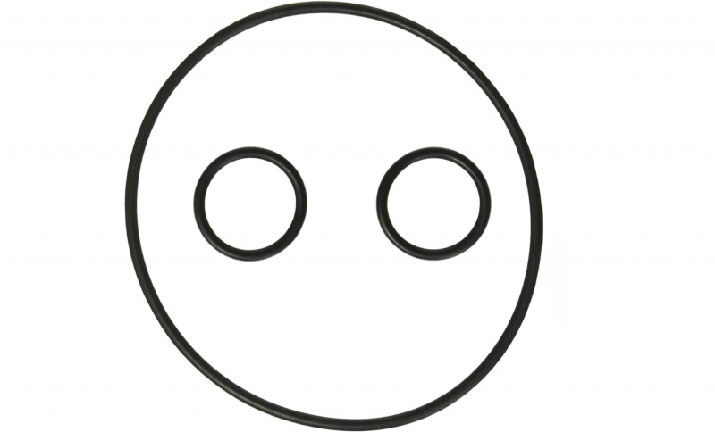 ORTEGA VALVE ORING SET 2"