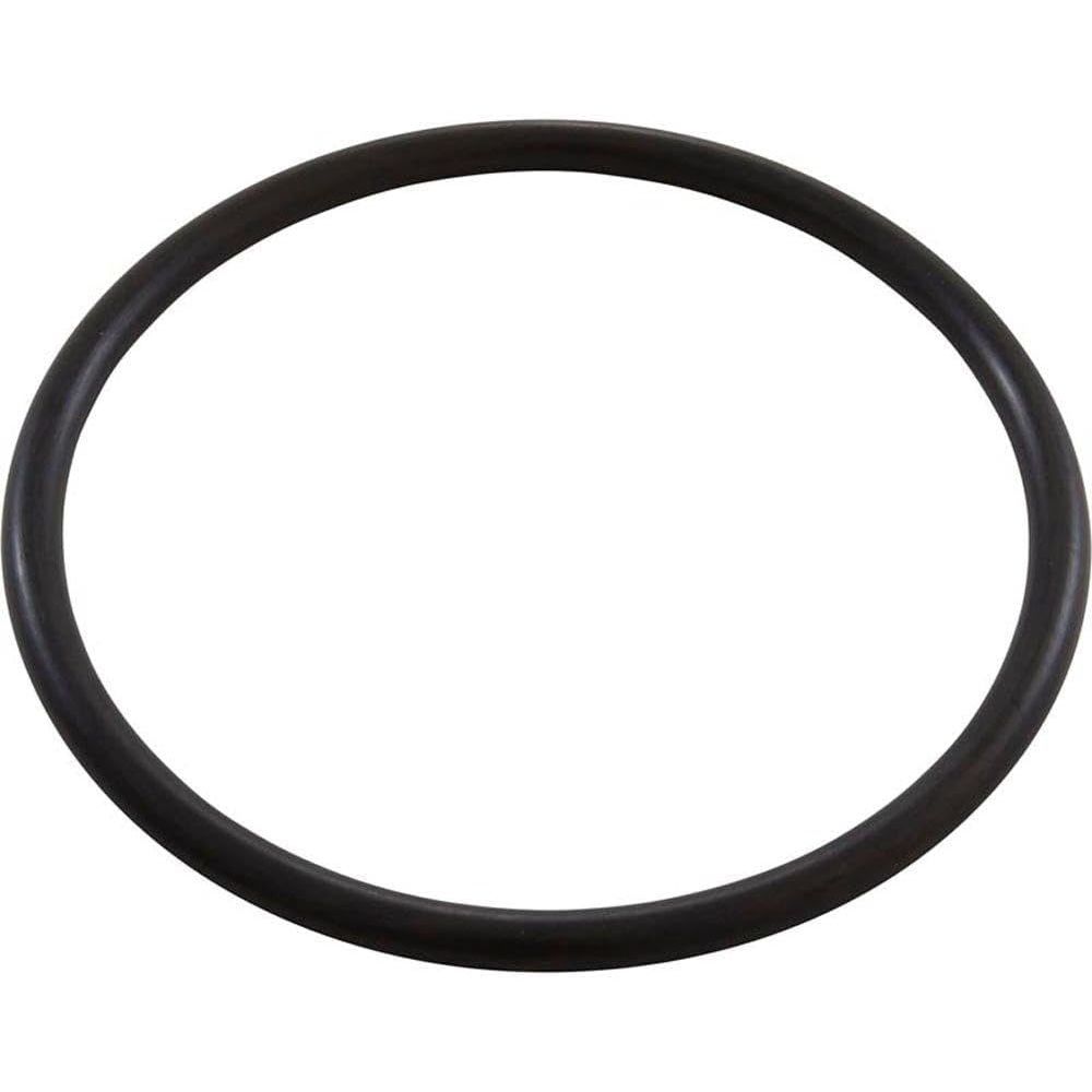 ZODIAC® STYLE ELECTRODE HOUSING O-RING